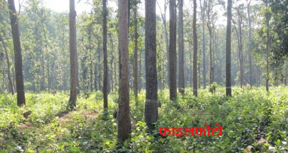 सिन्धुलीमा चो रलाई साँचो दिएपछिको परिणाम