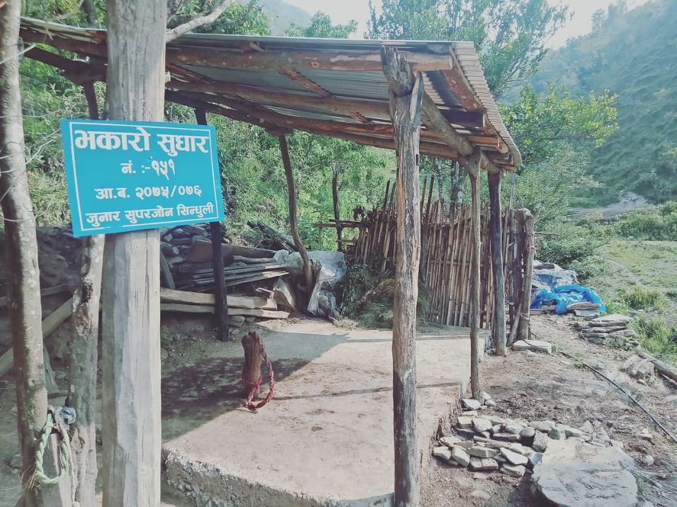 सिन्धुलीका कृषक रासायनिक मललाई बिस्थापित गर्दै